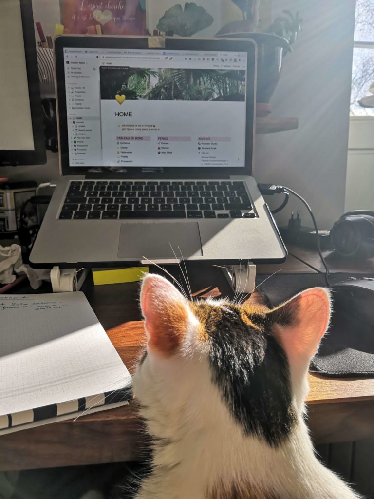 Coralie Rocque Maya her cat in front laptop