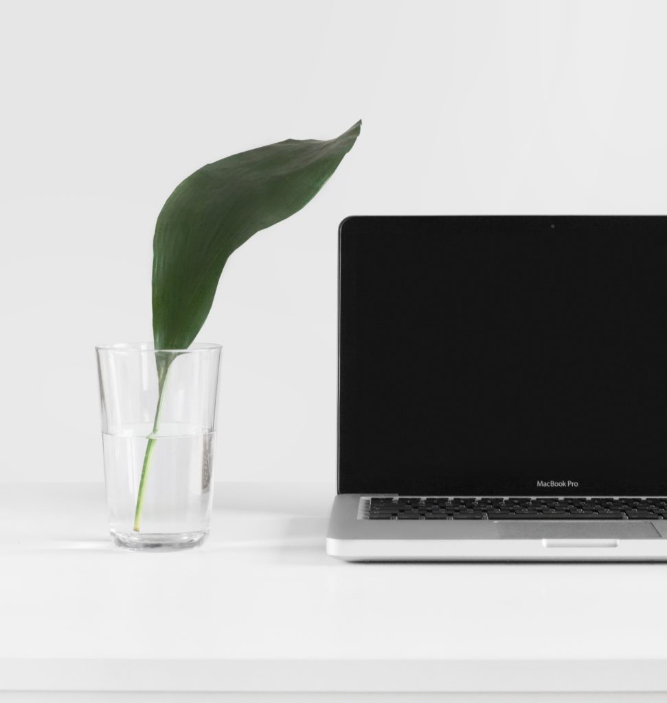 Laptop and plant