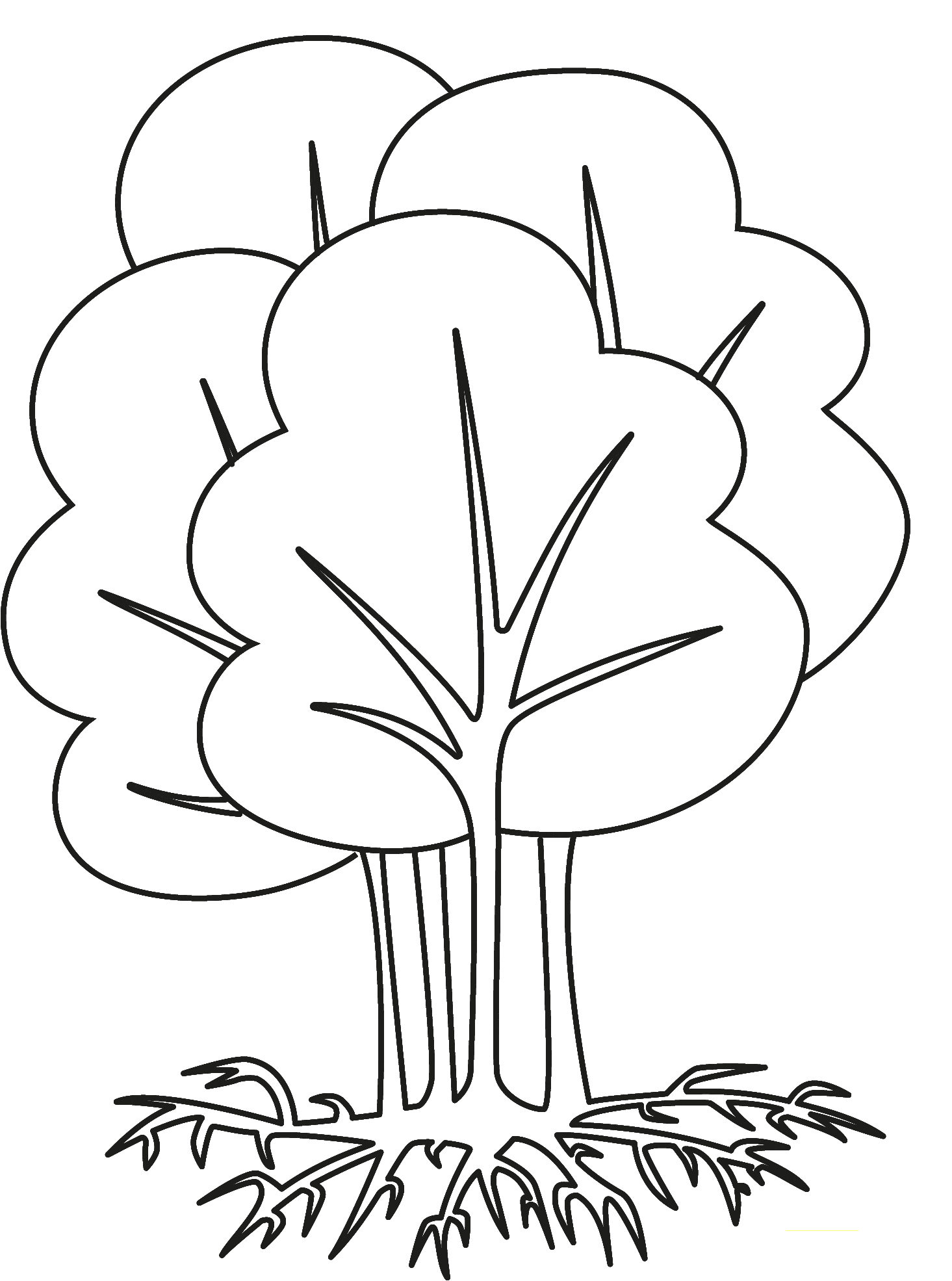 Gif of a forest with strong roots in a frame representing SME small medium enterprise business growth branding positioning